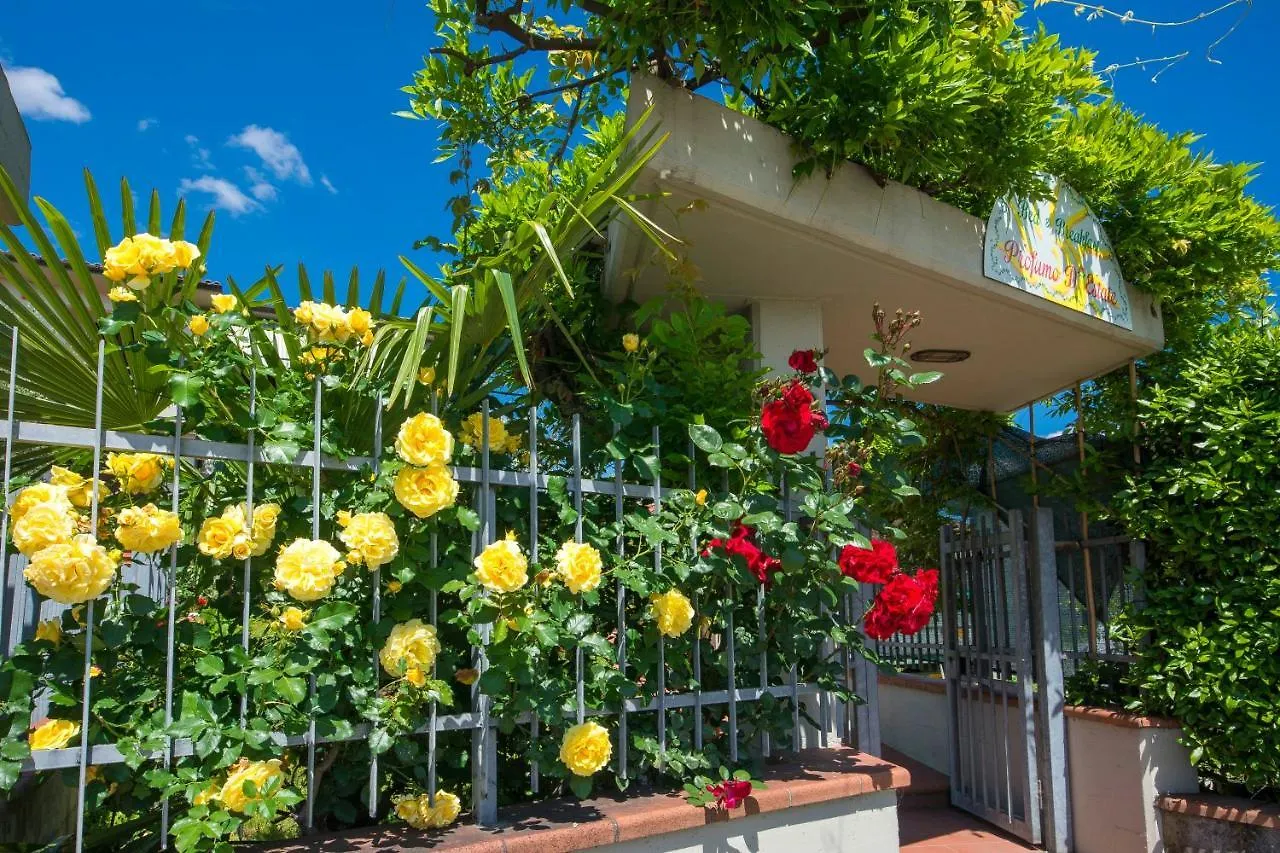 Bed & Breakfast Profumo D\'Estate contacts